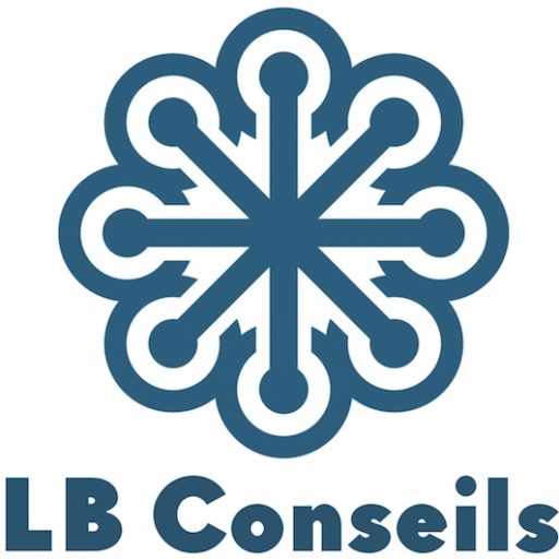 LB CONSEILS